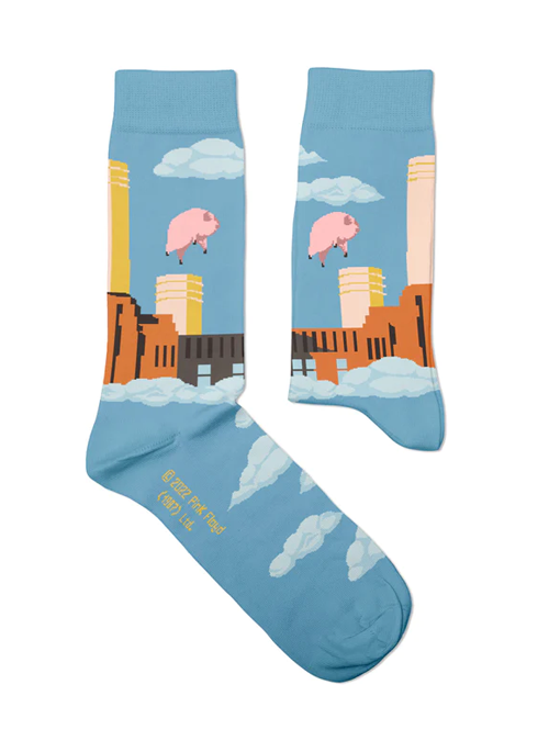 Animals Socks