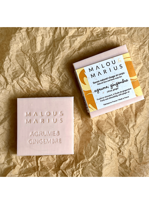 Citrus, Ginger Soap