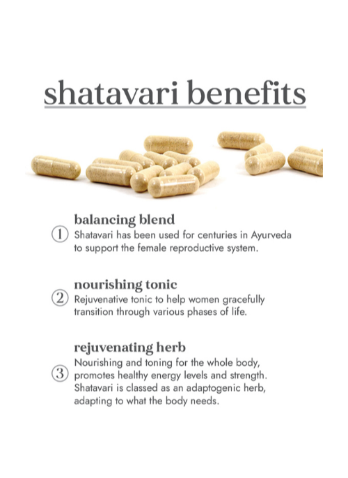 Organic Shatavari