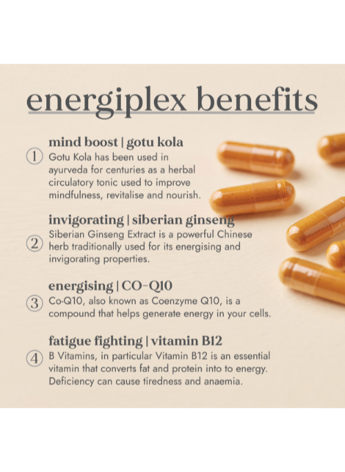 Energiplex