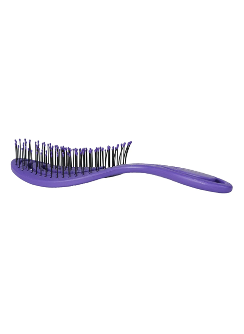 Swirl Shape Hairbrush