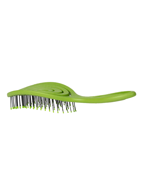Swirl Shape Hairbrush