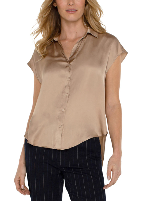 Dolman Blouse