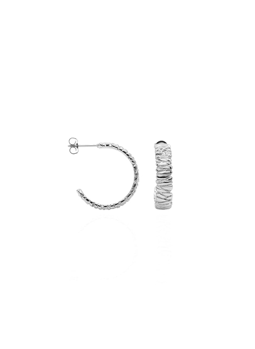 Earrings Silver