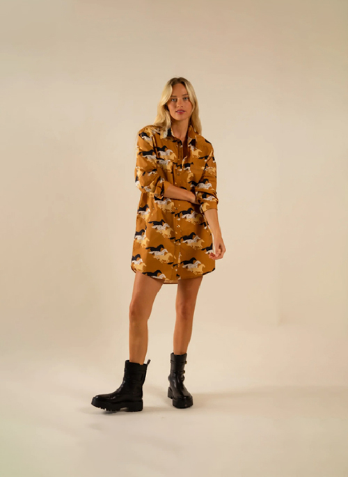 Preslie Poplin Dress