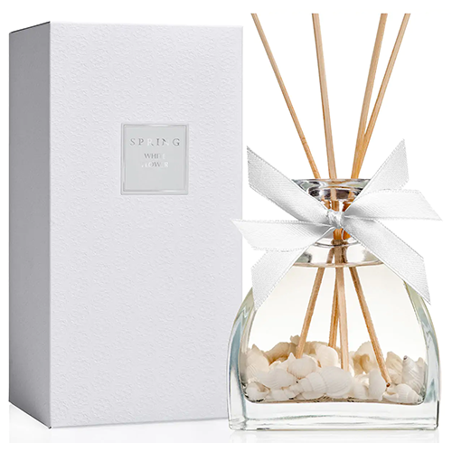  Large Sea Shells Diffuser