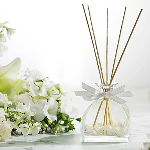 Large Sea Shells Diffuser