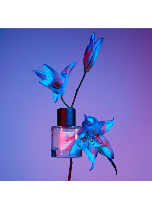 Cerulean Blue