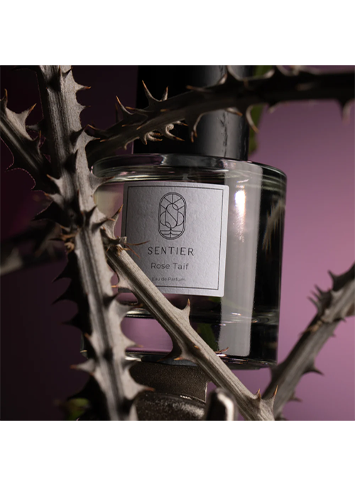 Rose Taif