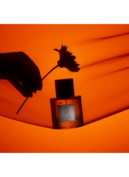 Notes of Rêverie