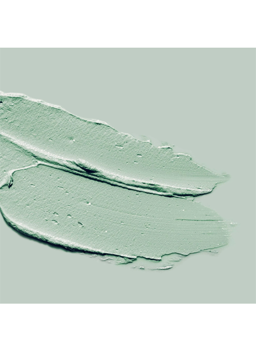 Purifying Face Mask