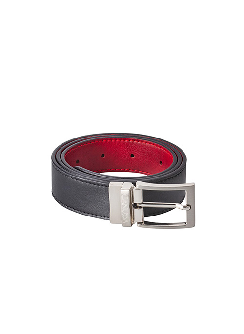 Reverse Belt