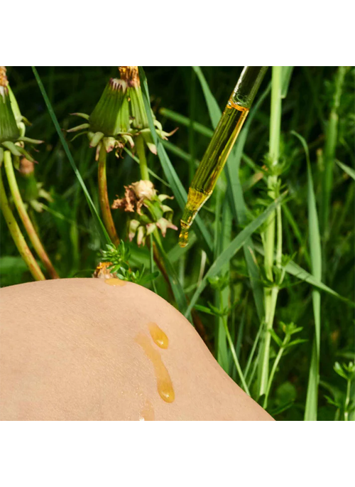 Body Oil