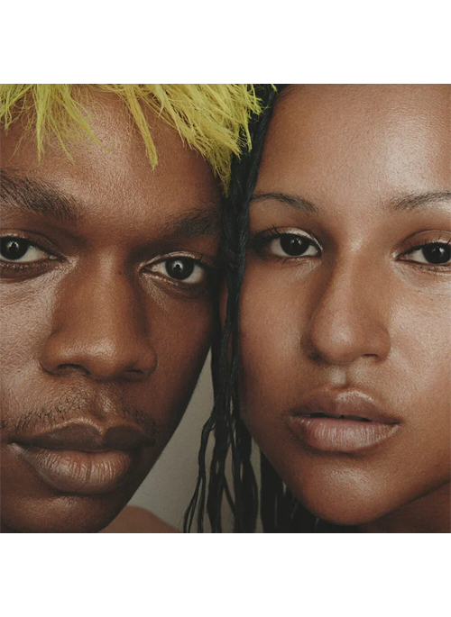 Highlighter Lucid