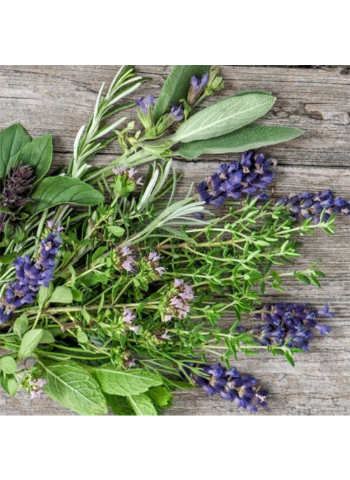 Lavender Basil Oil