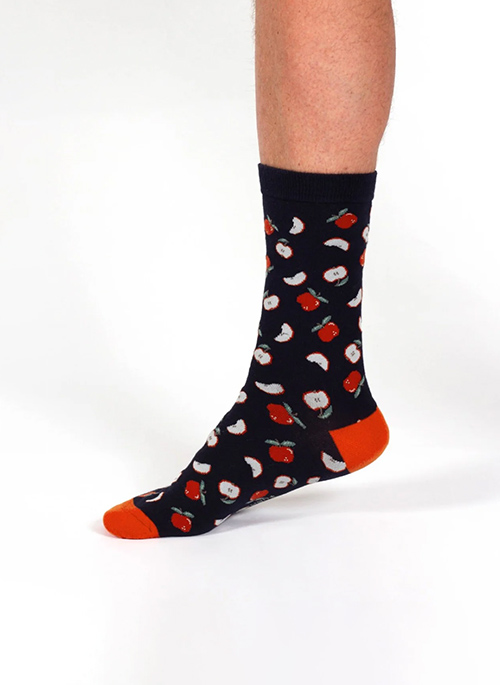 Explorer Socks