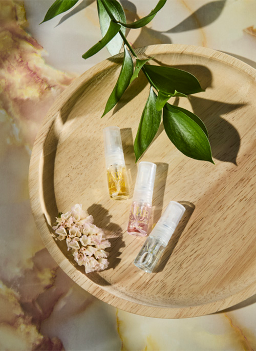  Discovery Sample Set