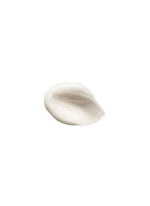 Argan+ Repairing Conditioner