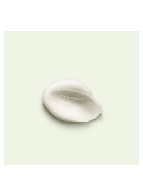 Rosemary+ Purifying Conditioner