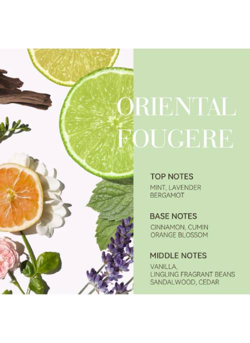 Rosemary+ Purifying Shampoo