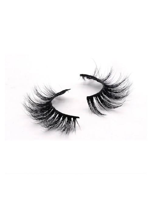 The Lash