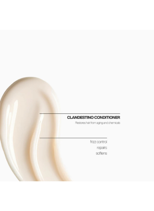Clandestino Treatment Conditioner