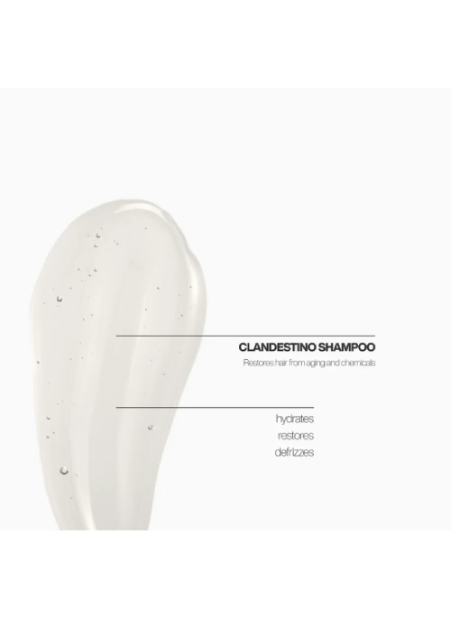 Clandestino Treatment Shampoo