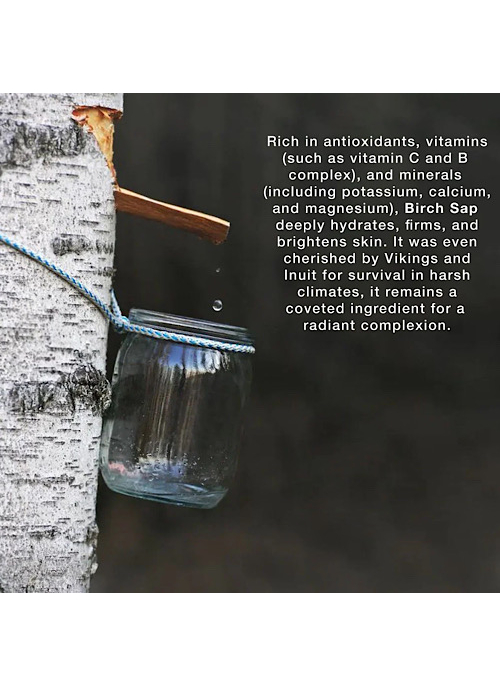 Birch Sap Facial Cleanser