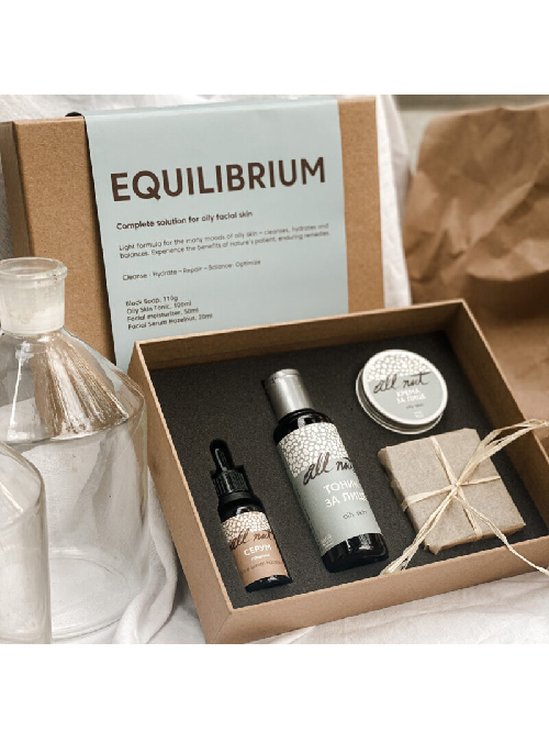  Equilibrium Set