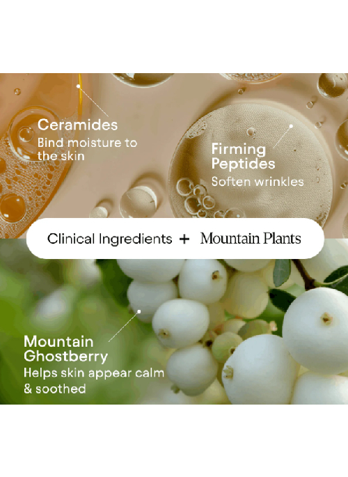 PlantGenius Melt Moisturizer