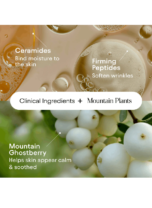 Melt Moisturizer
