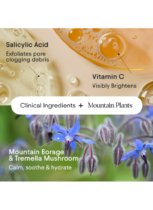Pore Perfecting Liquid 