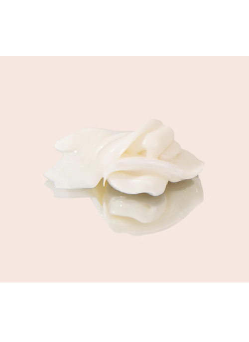 Purifying Cleansing Lotion