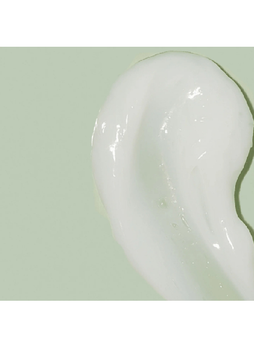 Scalp Renew Conditioner
