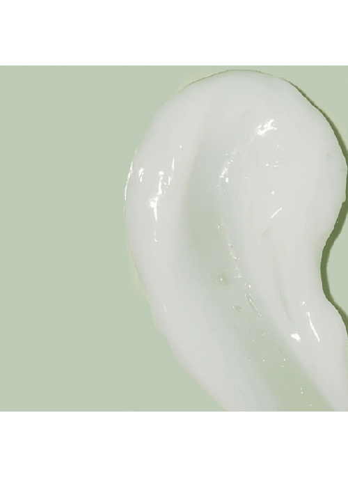 Scalp Renew Bundle