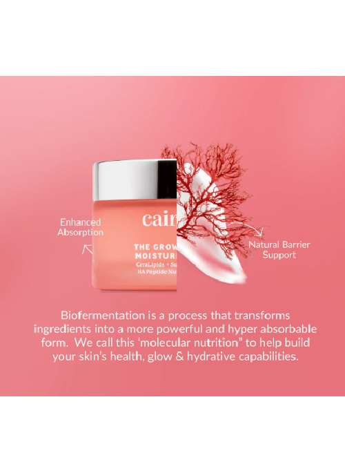 The Grownup Moisturizer