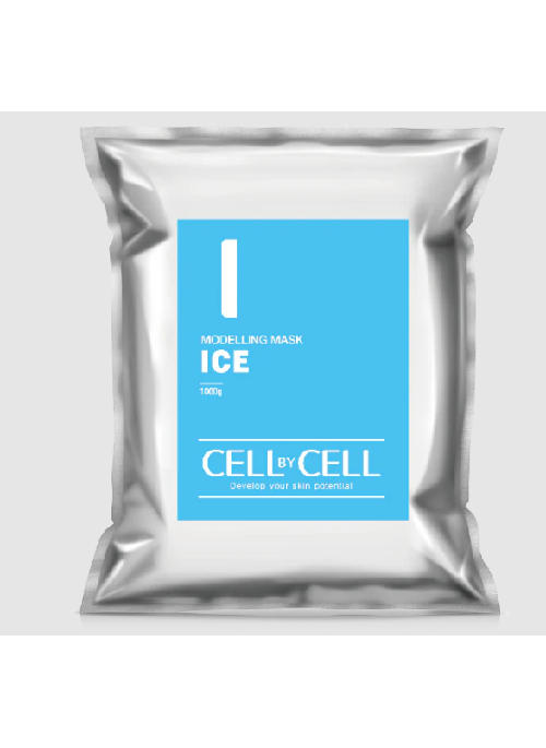  Ice Modeling Mask