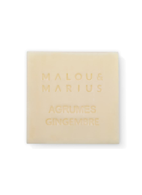 Citrus, Ginger Soap