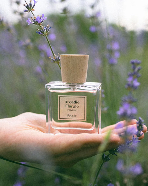  Arcadie Florale