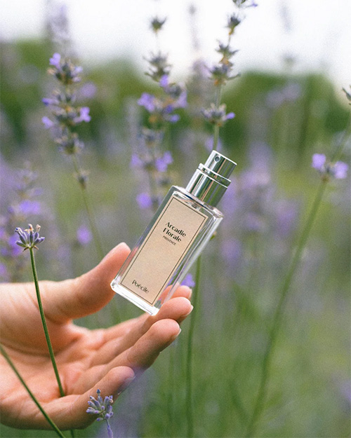 Arcadie Florale