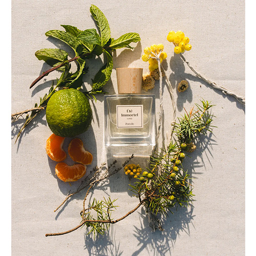  Été Immortel
