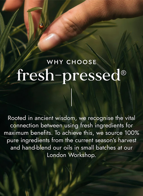 Root Revival Oil