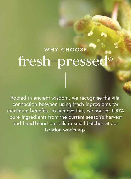Muscle & Joints Oil