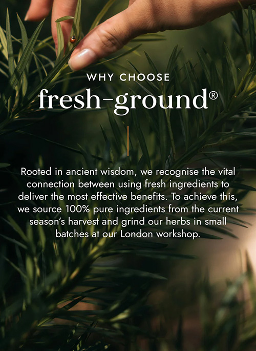 Organic Chaste Tree