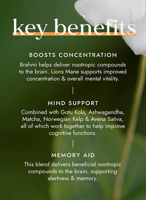 Nootropic Brain Blend