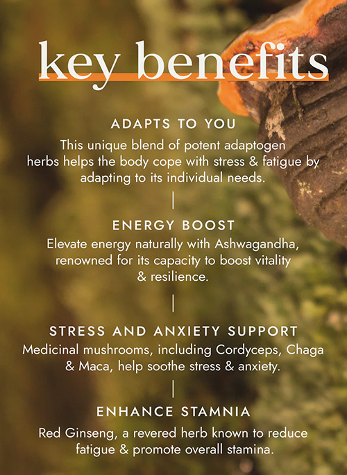 Adaptogen Energy Blend