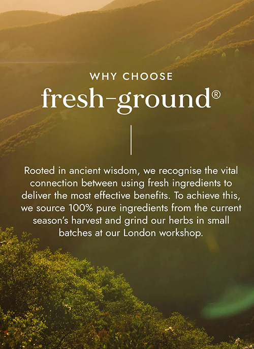 Organic Reishi Mushroom