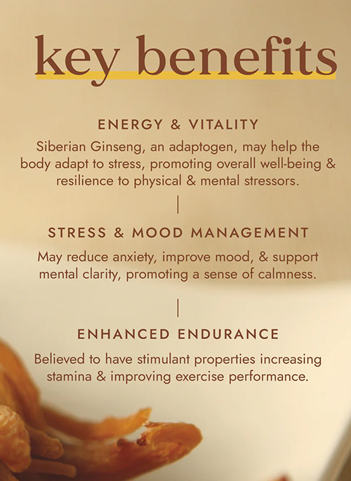 Organic Siberian Ginseng