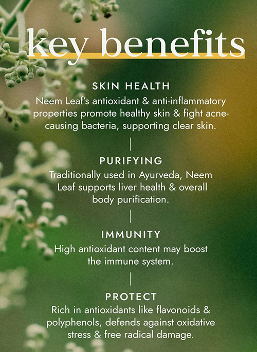 Organic Neem Leaf