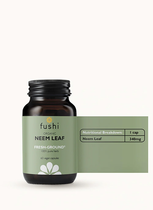 Organic Neem Leaf